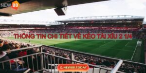 Khám phá kèo tài xỉu 2 1/4 cùng New88