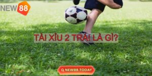 Khám phá khái niệm tài xỉu 2 trái